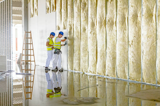 Best Insulation for Specific Applications in South Gull Lake, MI